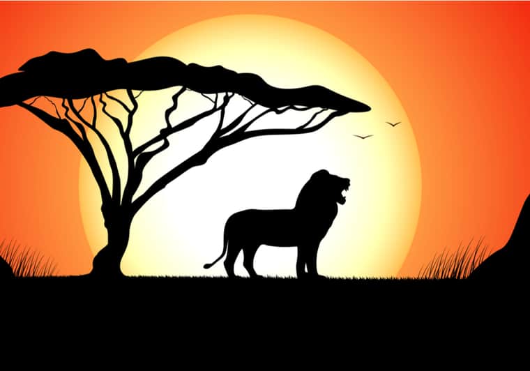 #Lion King Quotes To Inspire Your Inner Simba