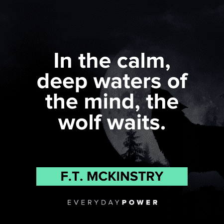 ​calm Wolf Quotes