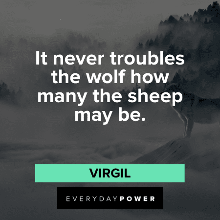 ​Wolf Quotes and proverbs