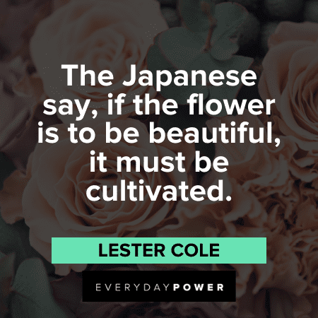 Flower Quotes and sayings