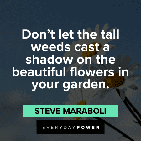 Flower Quotes about gardens