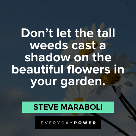 56 Inspirational Flower Quotes - Best Quotes About Flowers