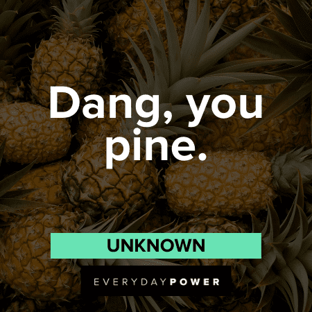sweet Pineapple Quotes