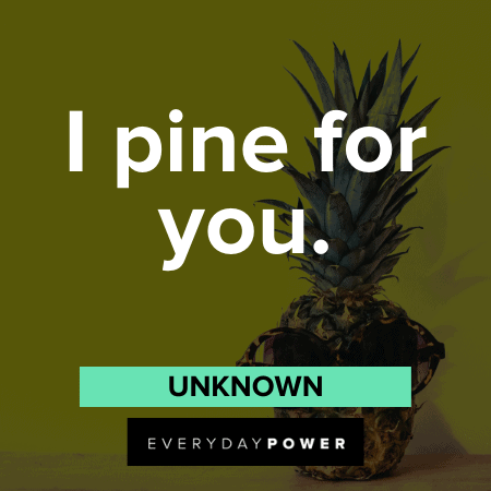 lovely Pineapple Quotes