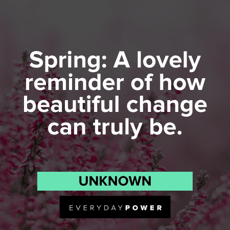 Flower Quotes about spring