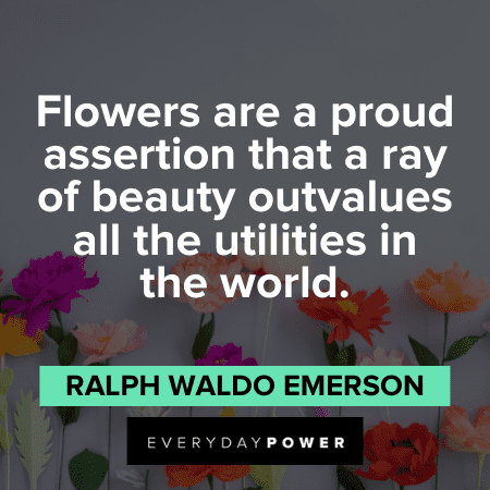 Flower Quotes about beauty