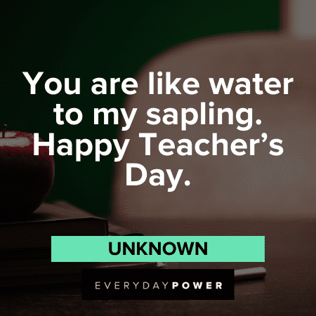 Teacher’s Day Quotes And Sayings