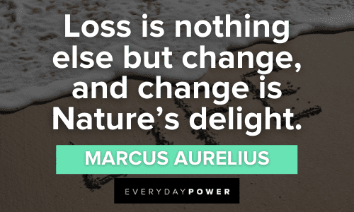 Marcus Aurelius quotes about loss