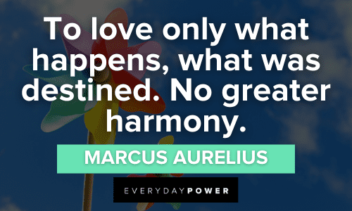 Marcus Aurelius quotes on love