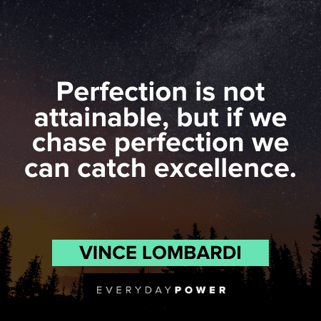 Perfection Quotes about excellence