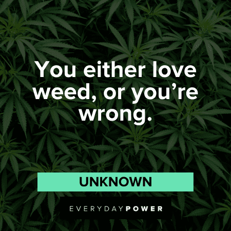 Stoner Quotes about weed