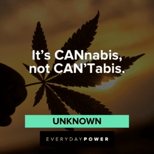 55 Stoner Quotes For The Next Time You Light That Blunt (2021)