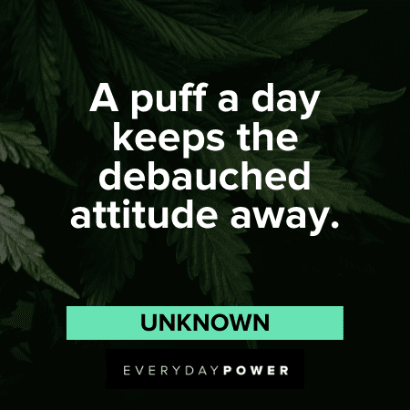 The best weed and stoner quotes for your Instagram captions.