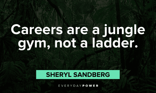 Sheryl Sandberg Quotes about careers