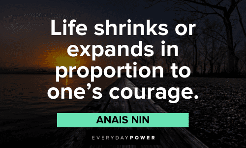 Anais Nin Quotes about courage