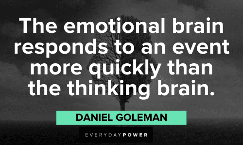 Daniel Goleman Quotes about the emotional brain
