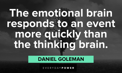 emotional intelligence quotes daniel goleman