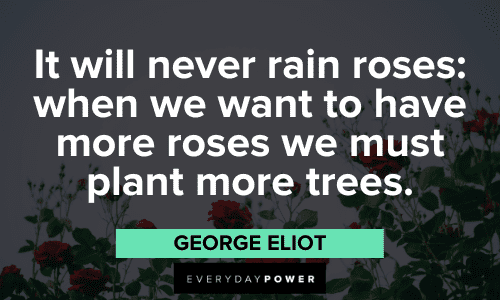 wise George Eliot Quotes
