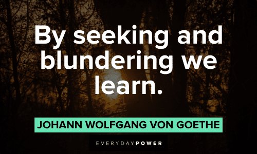 Goethe Quotes about learning