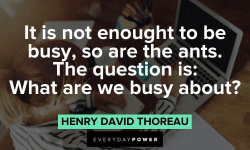 Productivity Quotes about being busy