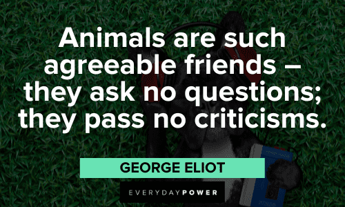 George Eliot Quotes about animals