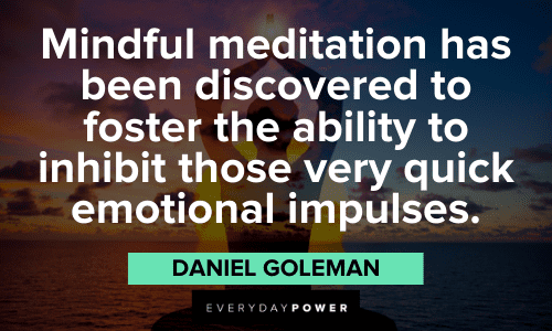 Daniel Goleman Quotes about meditation