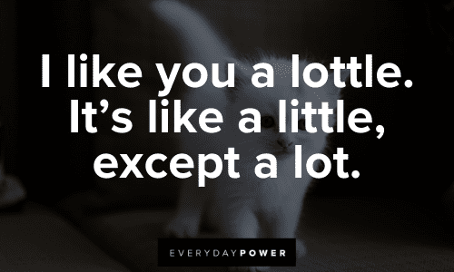 short Love Picture Quotes