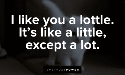 cute short love quotes for him