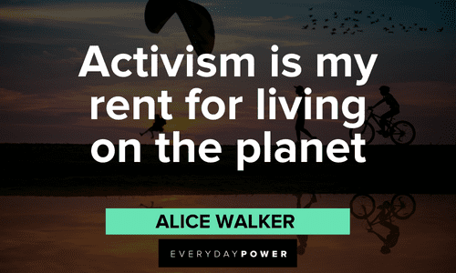 Alice Walker Quotes about activism