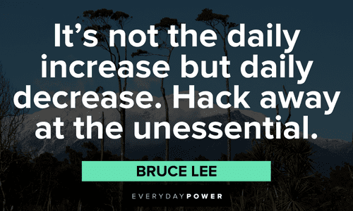 wise Bruce Lee Quotes about It’s not the daily increase but daily decrease. Hack away at the unessential