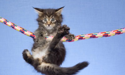 Hang-In-There Quotes To Keep You Going