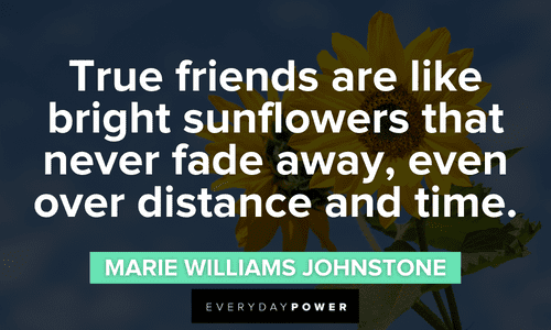 Sunflower quotes about true friends