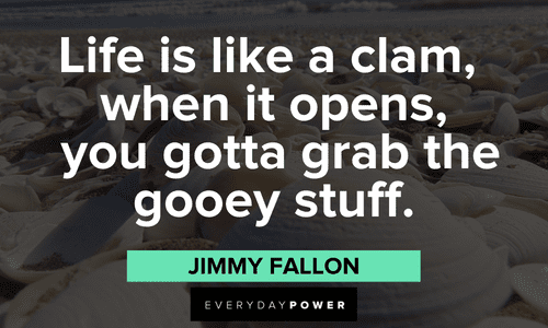 Funny Jimmy Fallon quotes about life