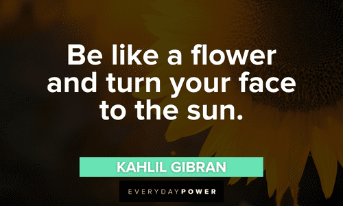 positive Sunflower quotes