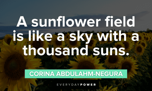 thoughtful Sunflower quotes