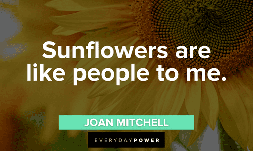 short Sunflower quotes