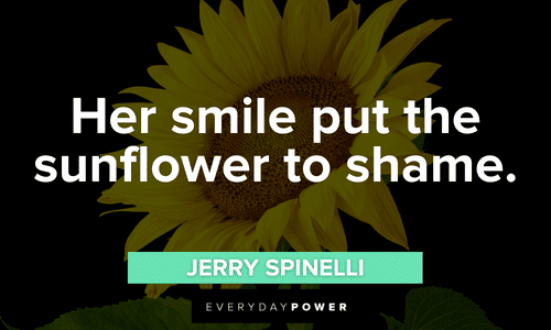 sunflower quotes and sayings