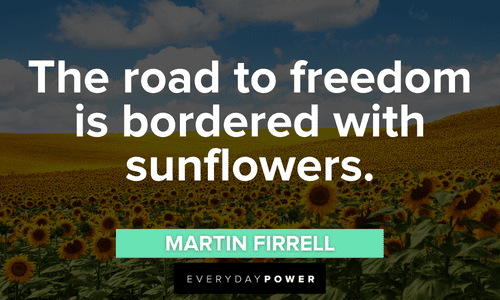 Sunflower quotes about freedom