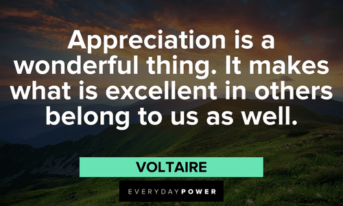 Gratitude Quotes about appreciations