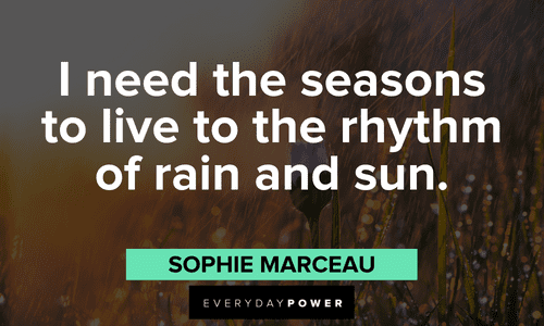100+ Rain Quotes to Lift Your Spirits | Everyday Power