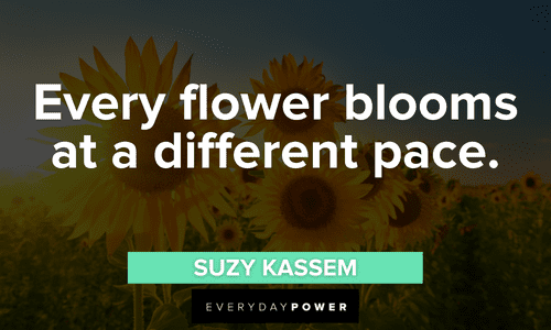 Sunflower quotes about patience