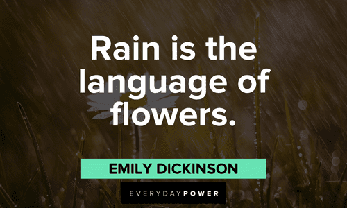 quotes about raindrops