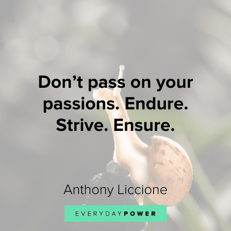 new month quotes about passions
