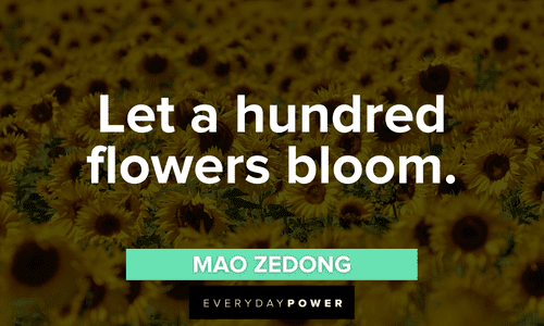 blooming Sunflower quotes