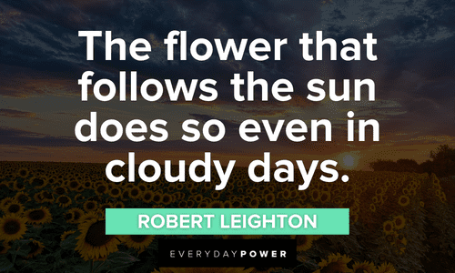 Sunflower quotes about tough times