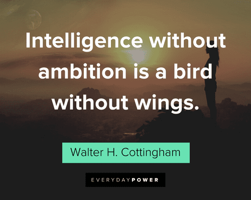 Ambition Quotes About Intelligence Without Ambition