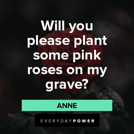 Anne With An E Quotes About Pink Roses