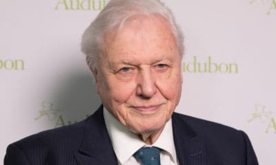 David Attenborough Quotes