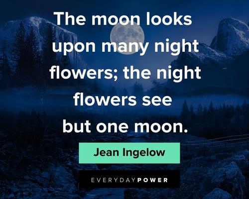 Full Moon Quotes About Night Flowers