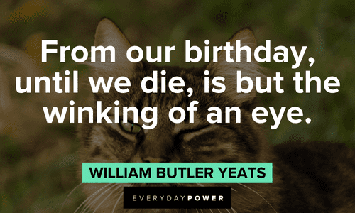 Funny birthday quotes and sayings